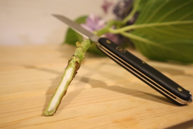 面倒な水切りはしなくて大丈夫 お花の定期便ピュアフラワー